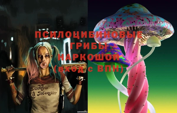 a pvp Магадан