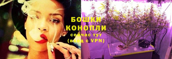 крисы Мегион