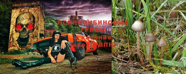 марки lsd Медвежьегорск
