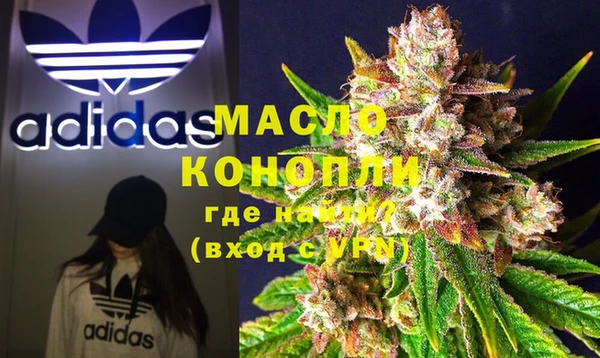 дмт Магас