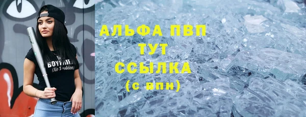дмт Магас