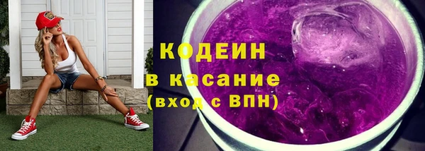 крисы Мегион