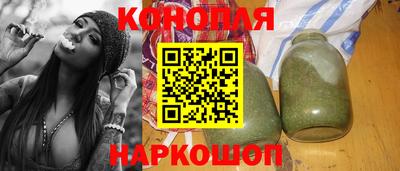 гидропоника Камышлов