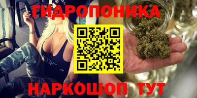 спайс Донской