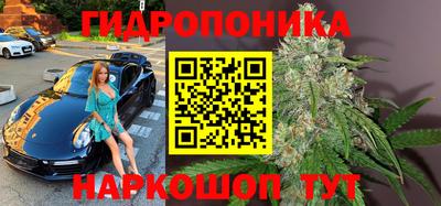 гидра Донецк