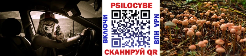 Галлюциногенные грибы Psilocybe  hydra онион  Кириши  магазин   