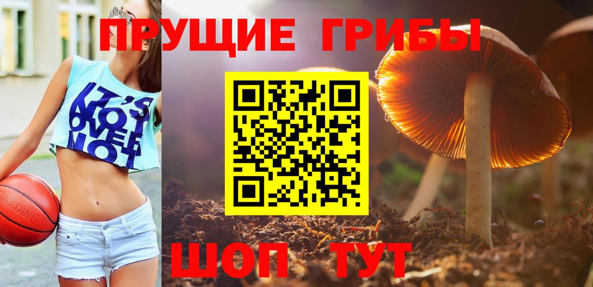 Галлюциногенные грибы ЛСД Кириши