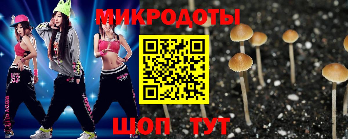 как найти закладки  Псилоцибиновые грибы GOLDEN TEACHER  Вход с VPN  Кириши  Псилоцибиновые грибы прущие грибы 