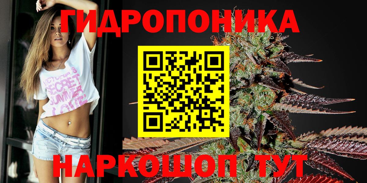 Каннабис сатива Кириши